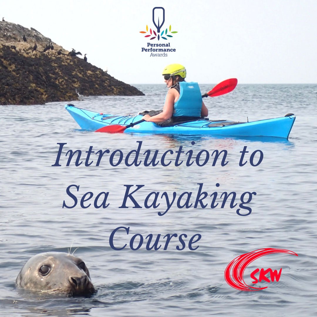 Bottlenose Dolphins at Llanddwyn Island Sea Kayaking Wales Anglesey