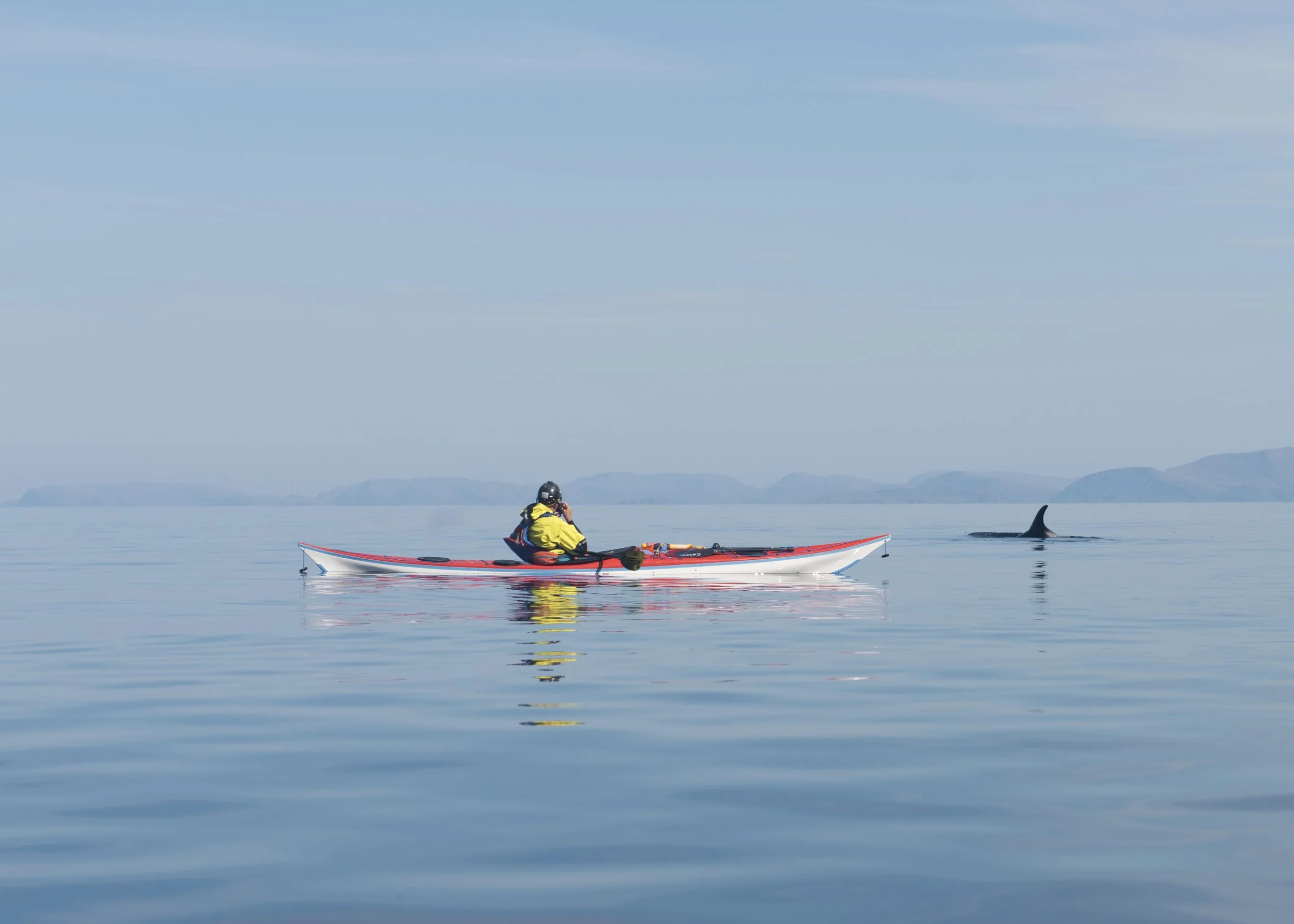 Dolphin surfacing close to a sea kayak during a Sørøya expedition in Arctic Norway