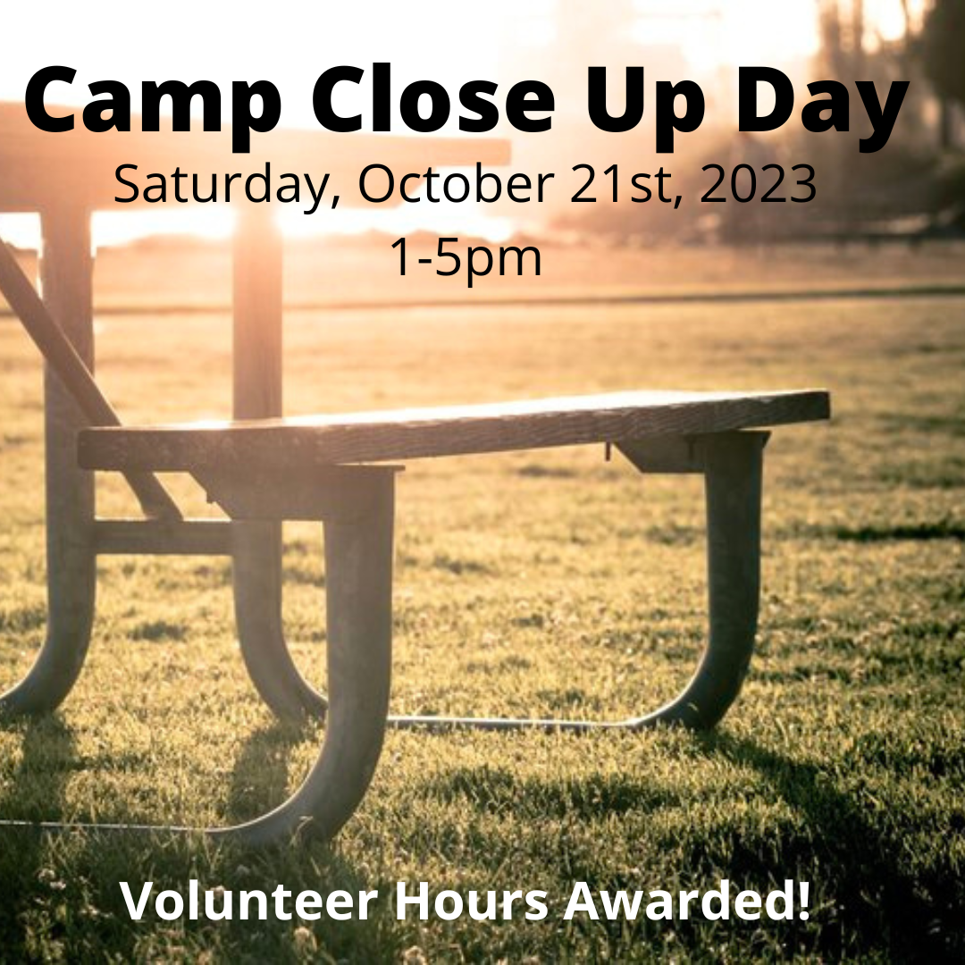 Camp Close-Up Day