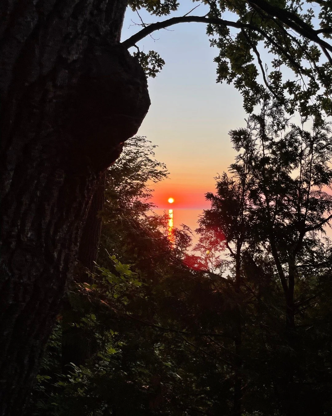 Before the sun sets on 2025, make sure to register to save $50 off your camp fees &mdash; sign up before midnight through the link in our bio. We can&rsquo;t wait to see what&rsquo;s in store for 2026 and we hope you have a wonderful new year! 🌅🎆