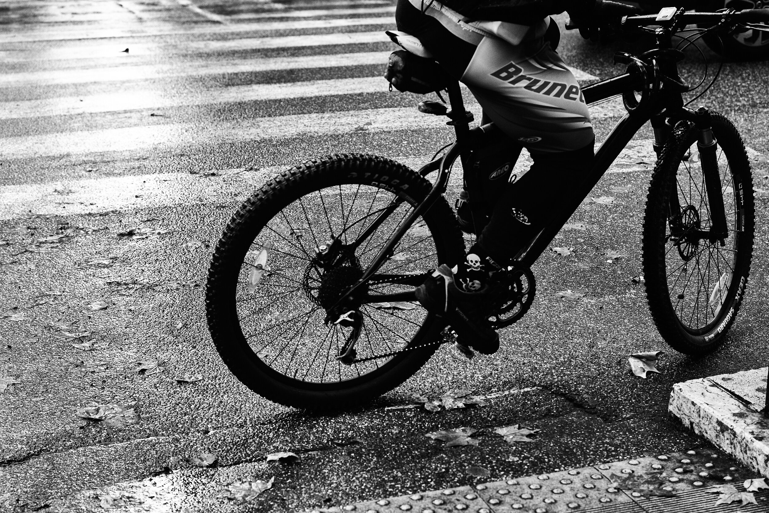 Teschio e bici \ Skull and bike