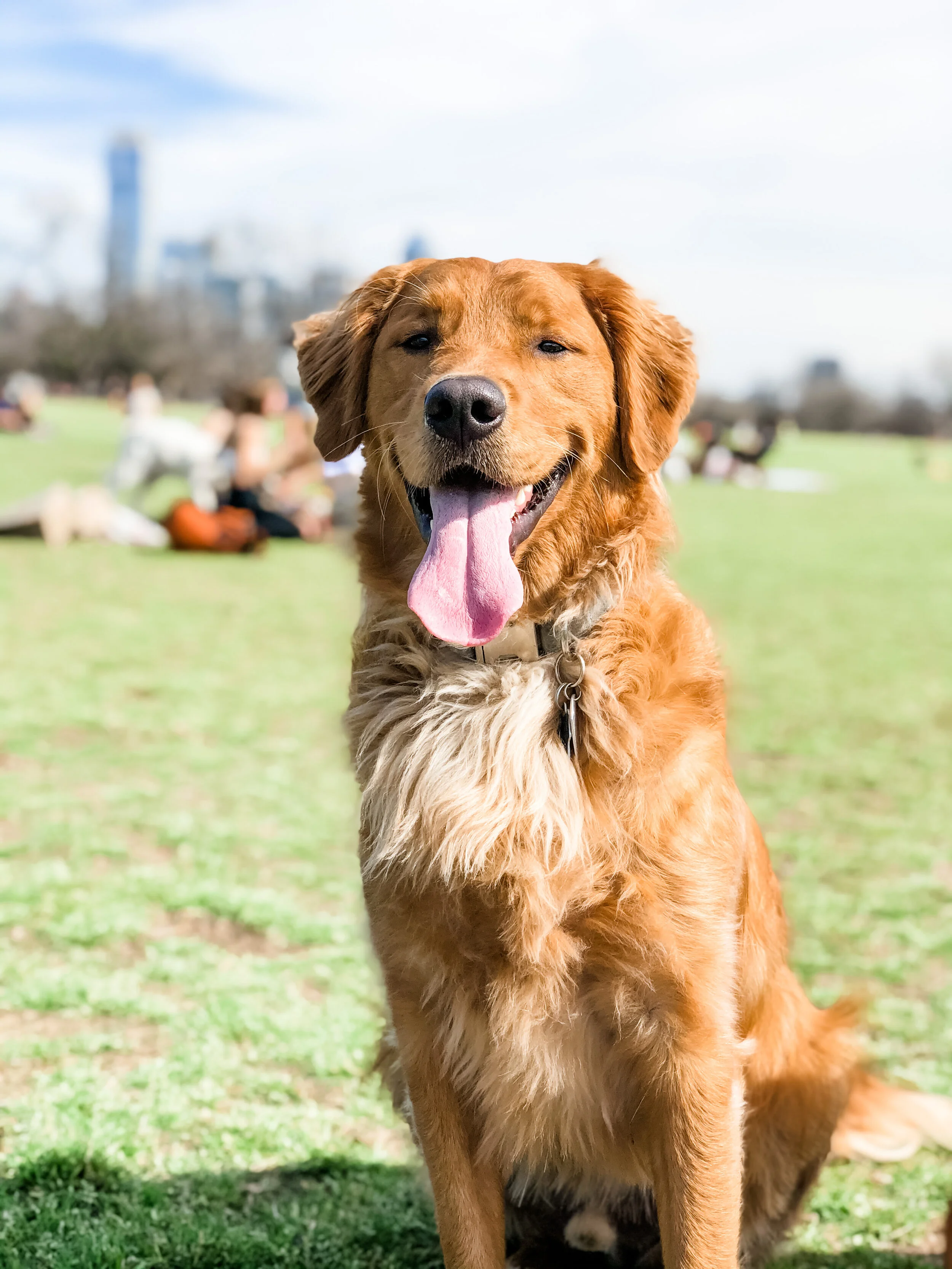 How to Choose Happiness Everyday