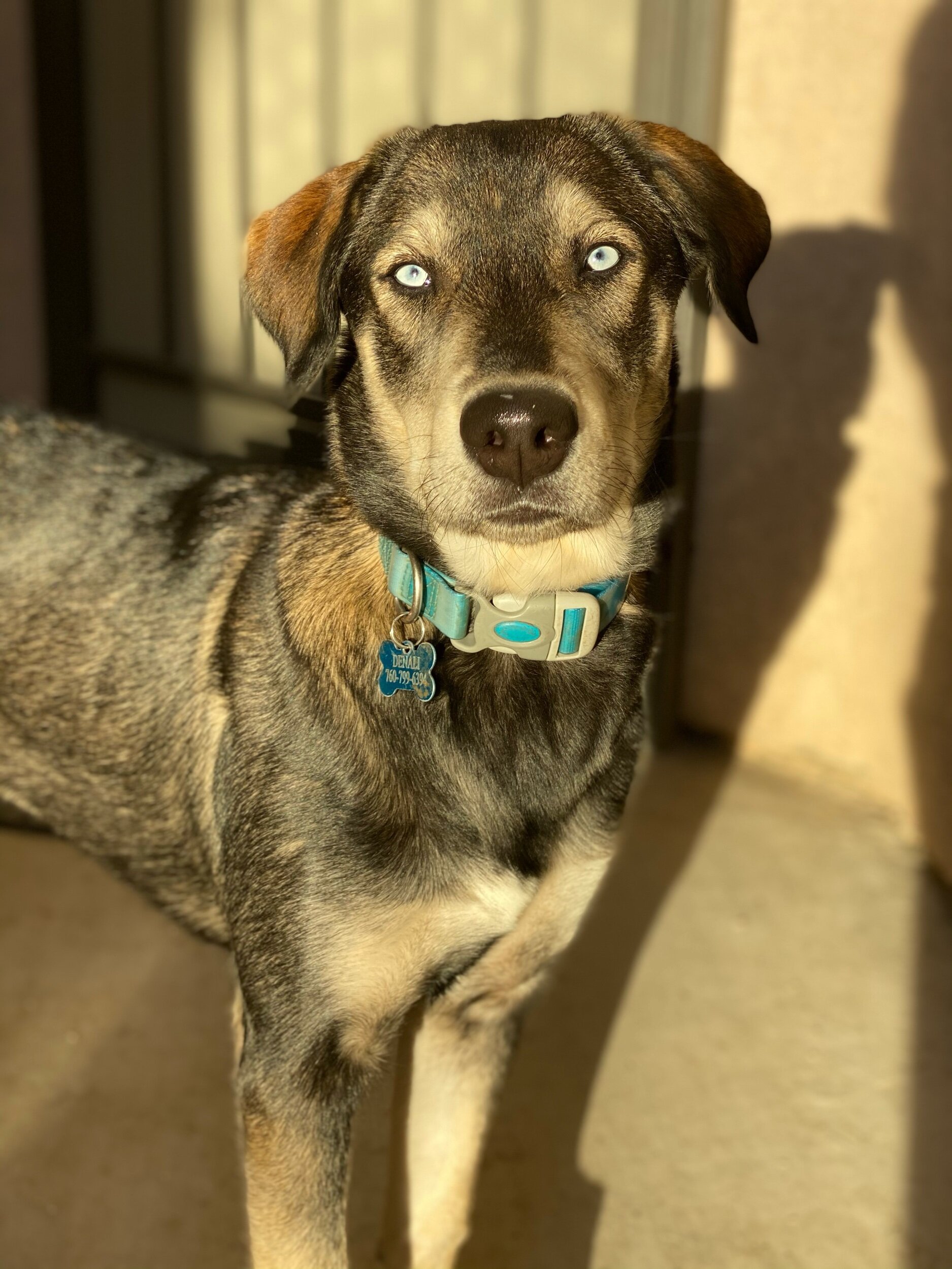 Denali