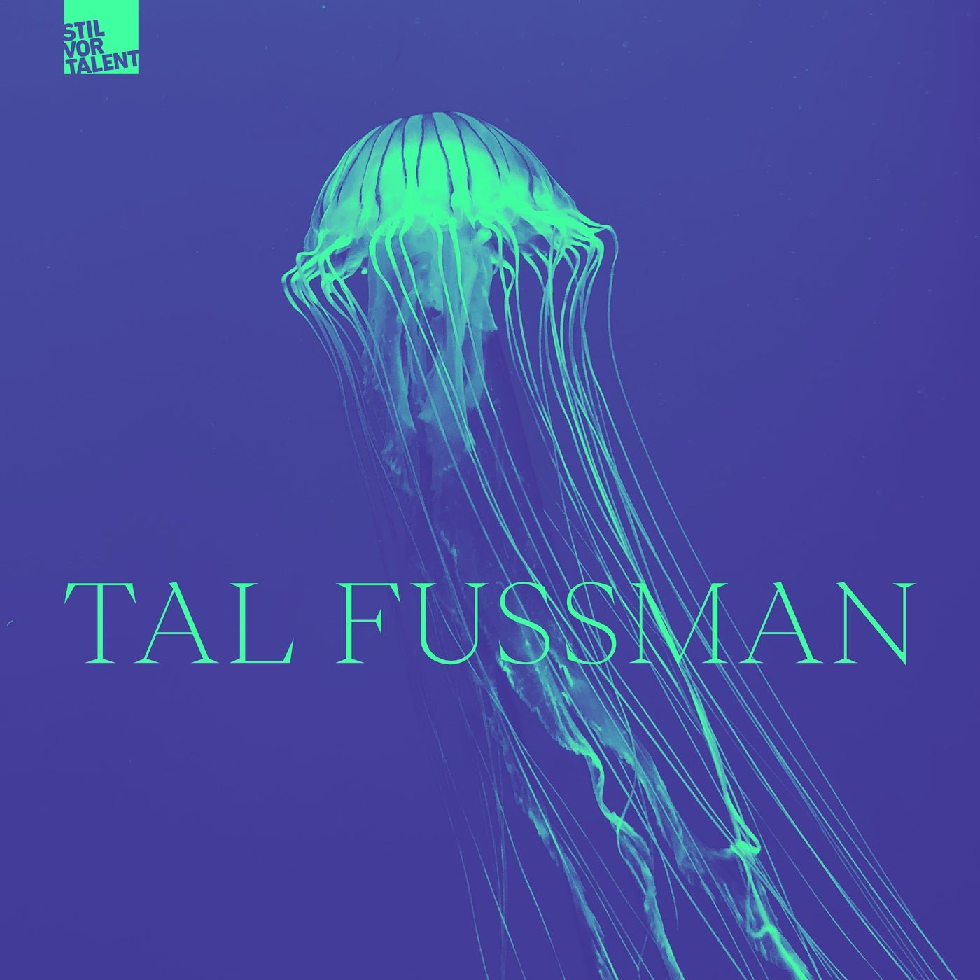 Tal Fussman - Underneath The Surface Stil vor Talent