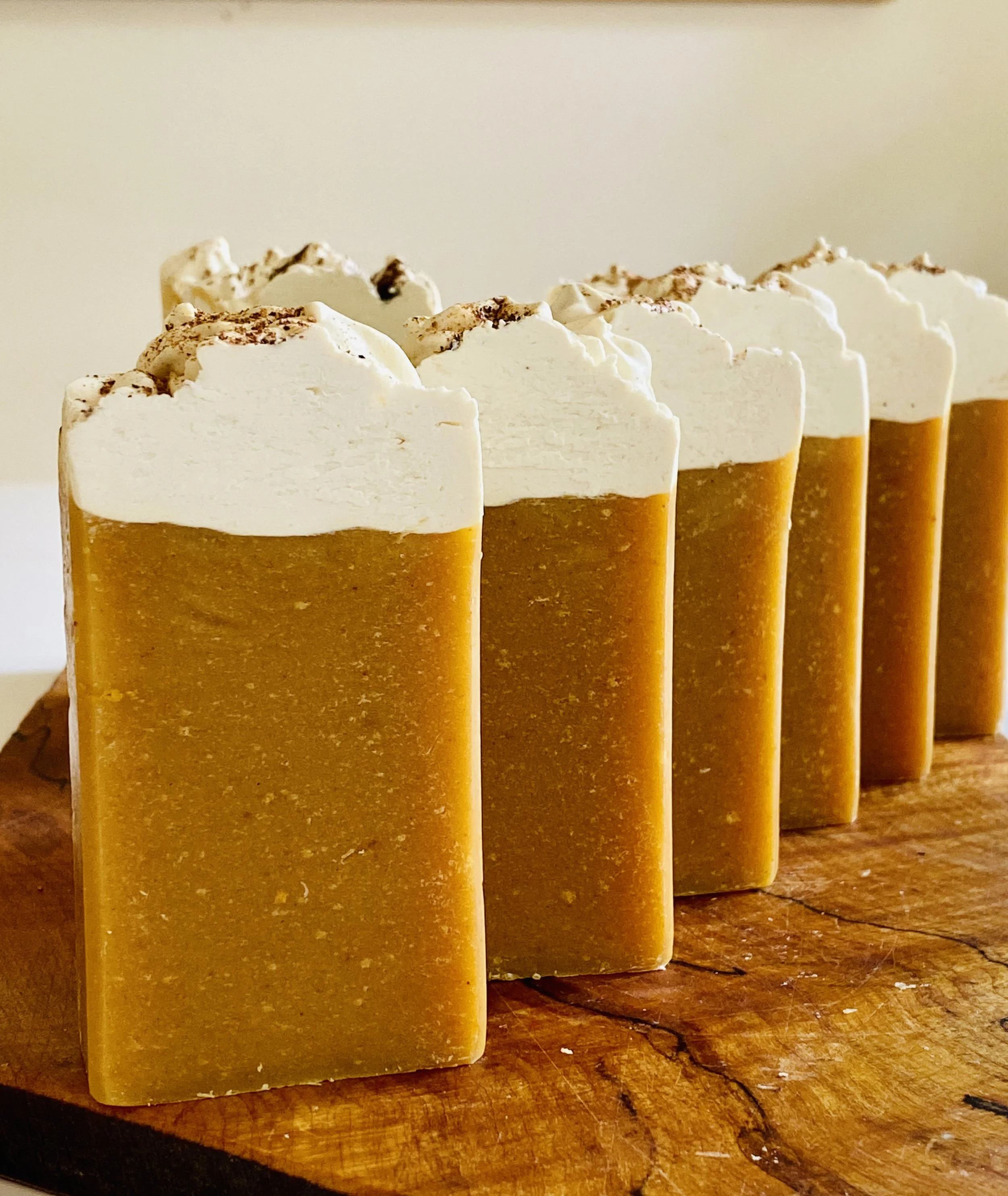 pumpkin row.jpg