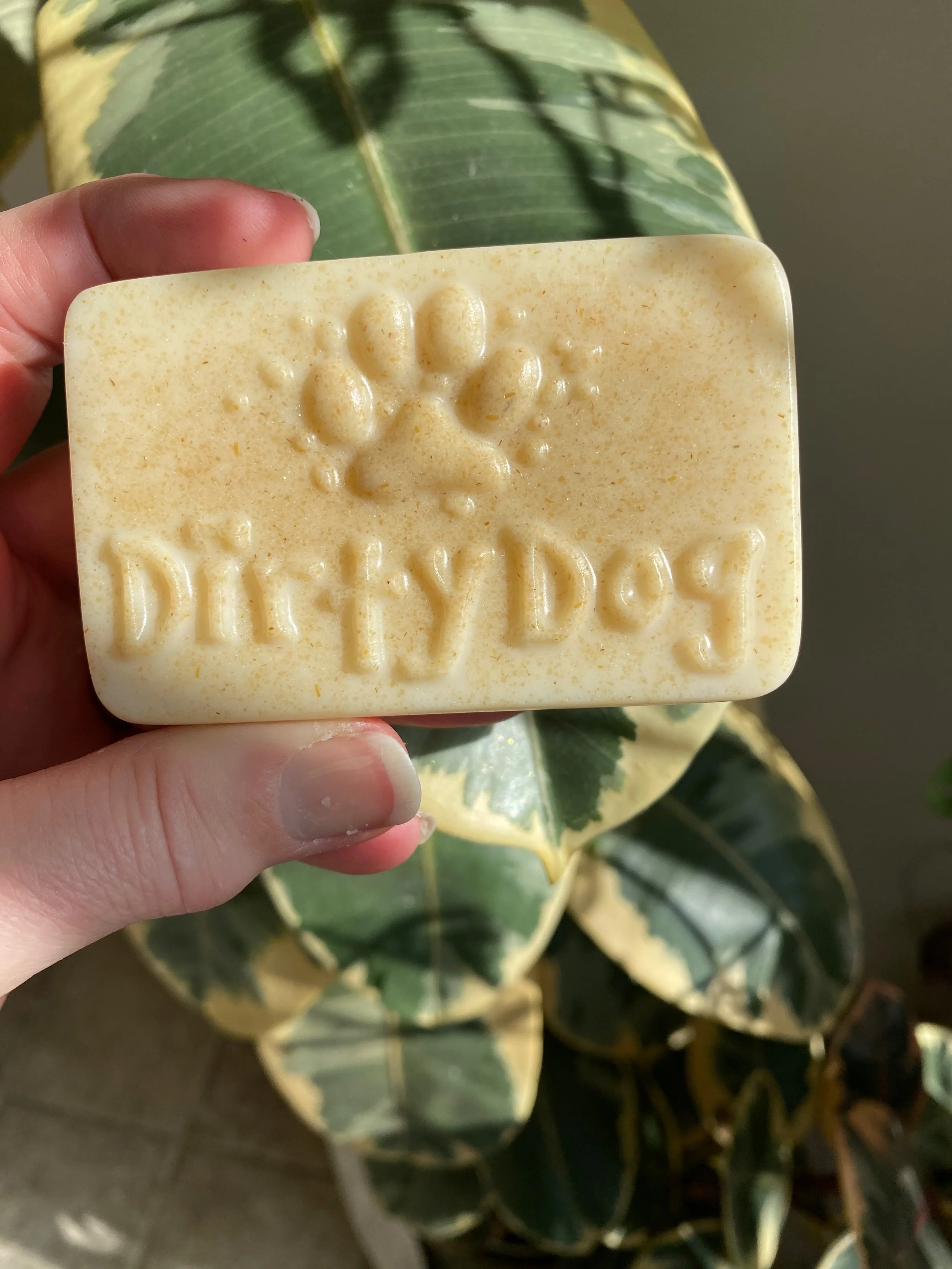 Dirty Dog Shampoo