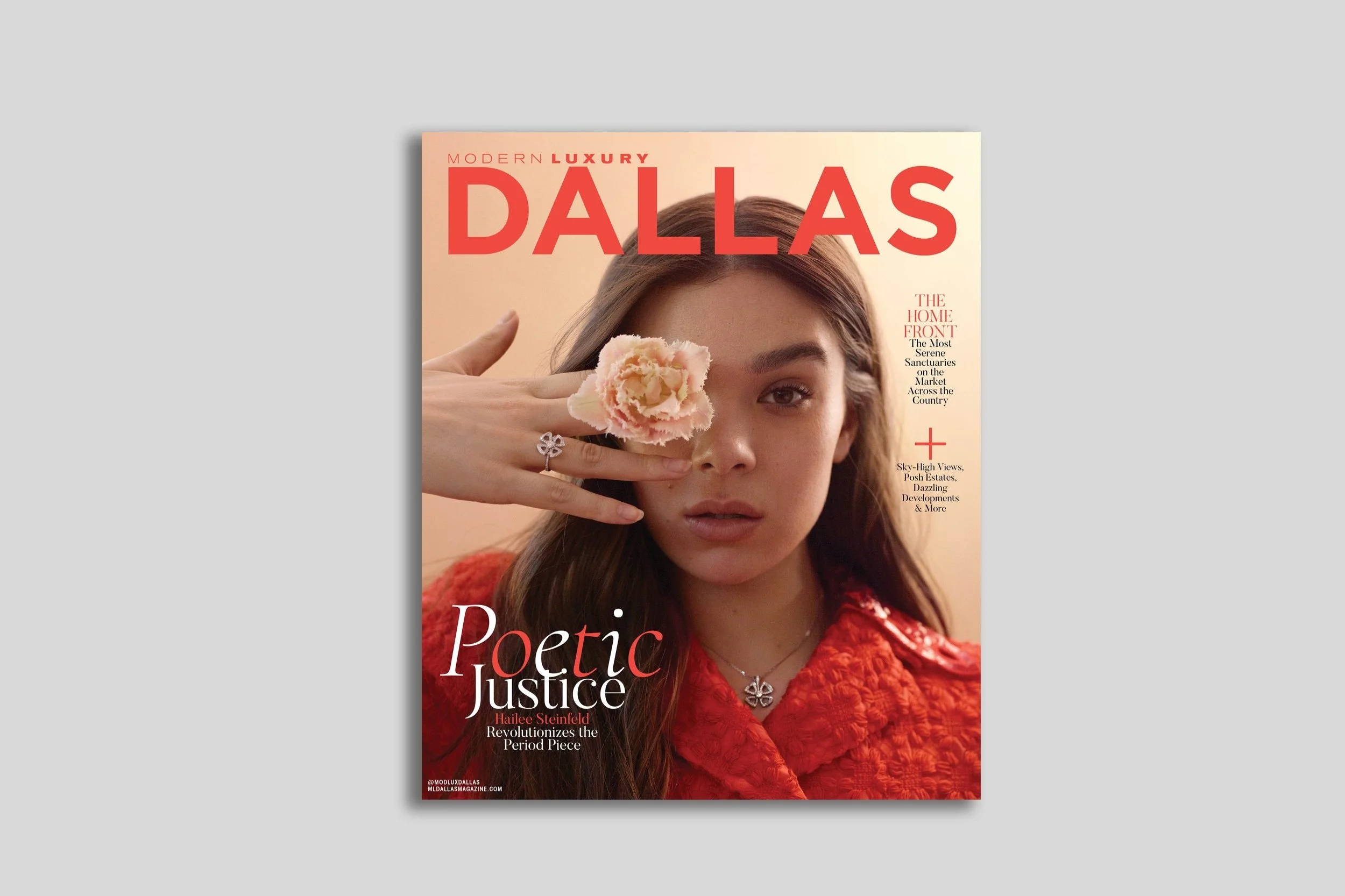 Covers_Dropshadow_DALL-HaleySteinfeld.jpg