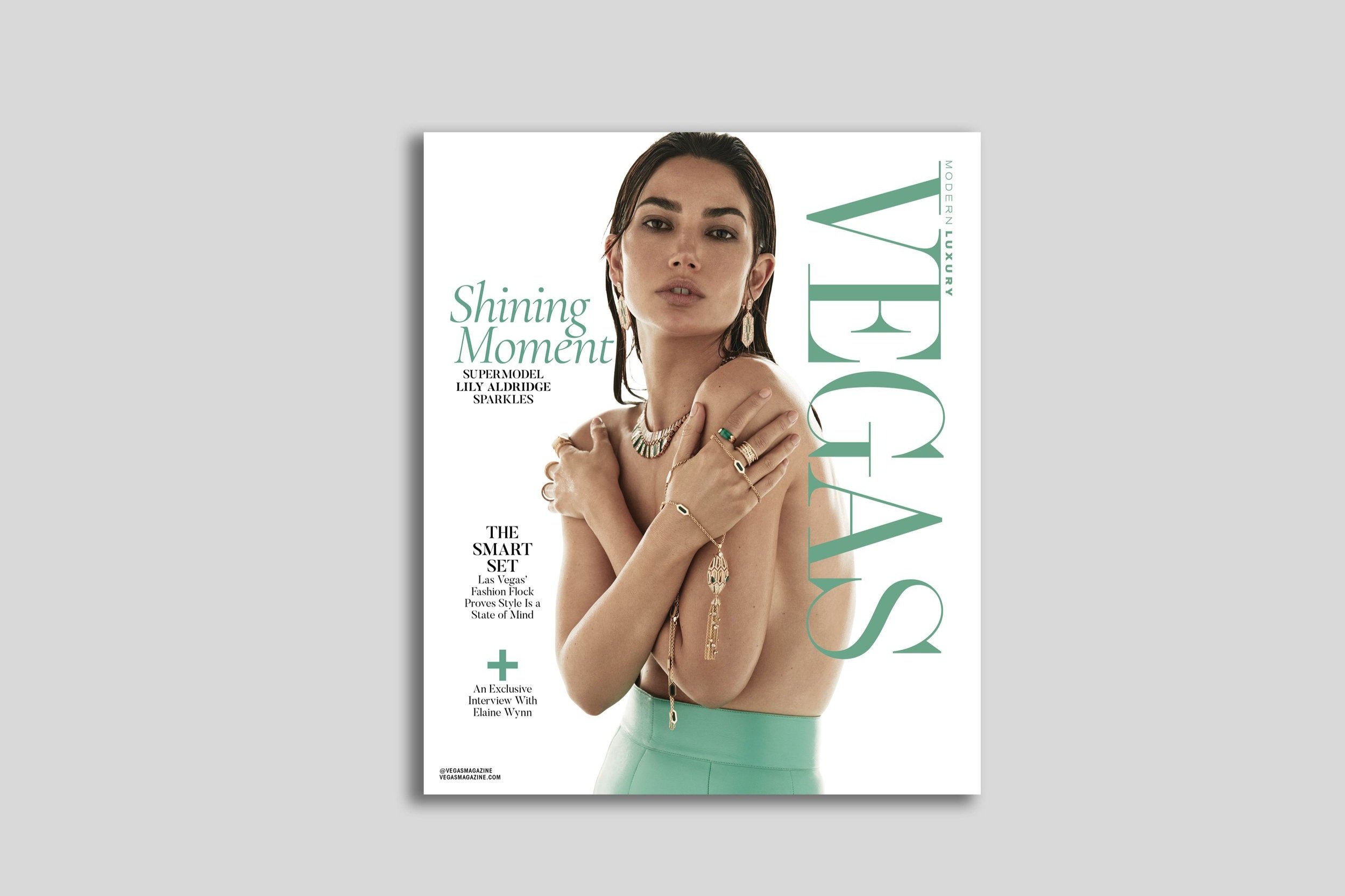 Covers_Dropshadow_VEGA_LilyAldridge.jpg