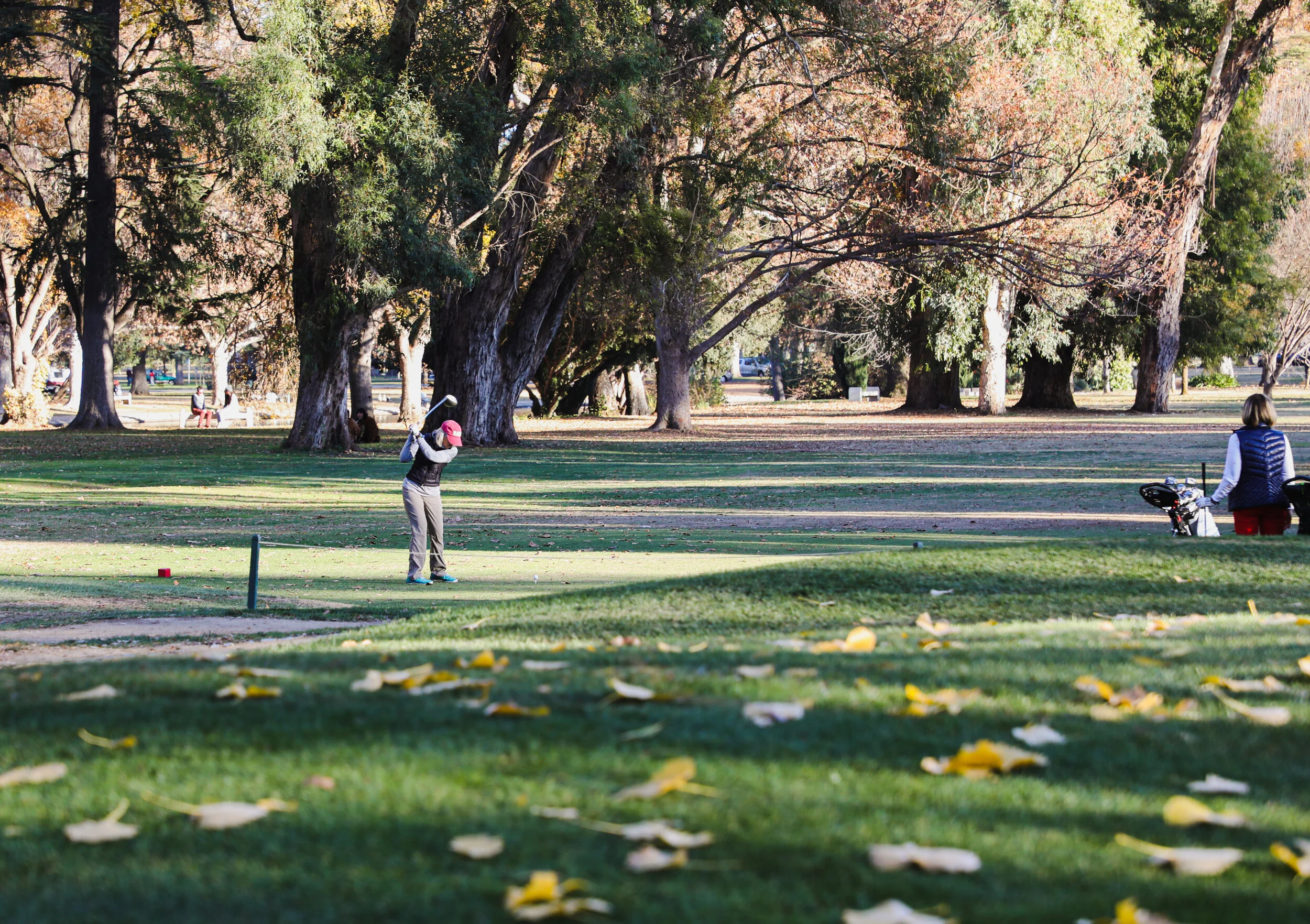 Sports A golfer swings the club at William Land Golf Course in Sacramento, Ca, as golfing remains one of the few sports still being played during the COVID-19 pandemic. Photo taken by: Sarah Hussey