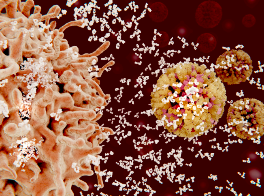 9 Common Factors Affecting Immunity