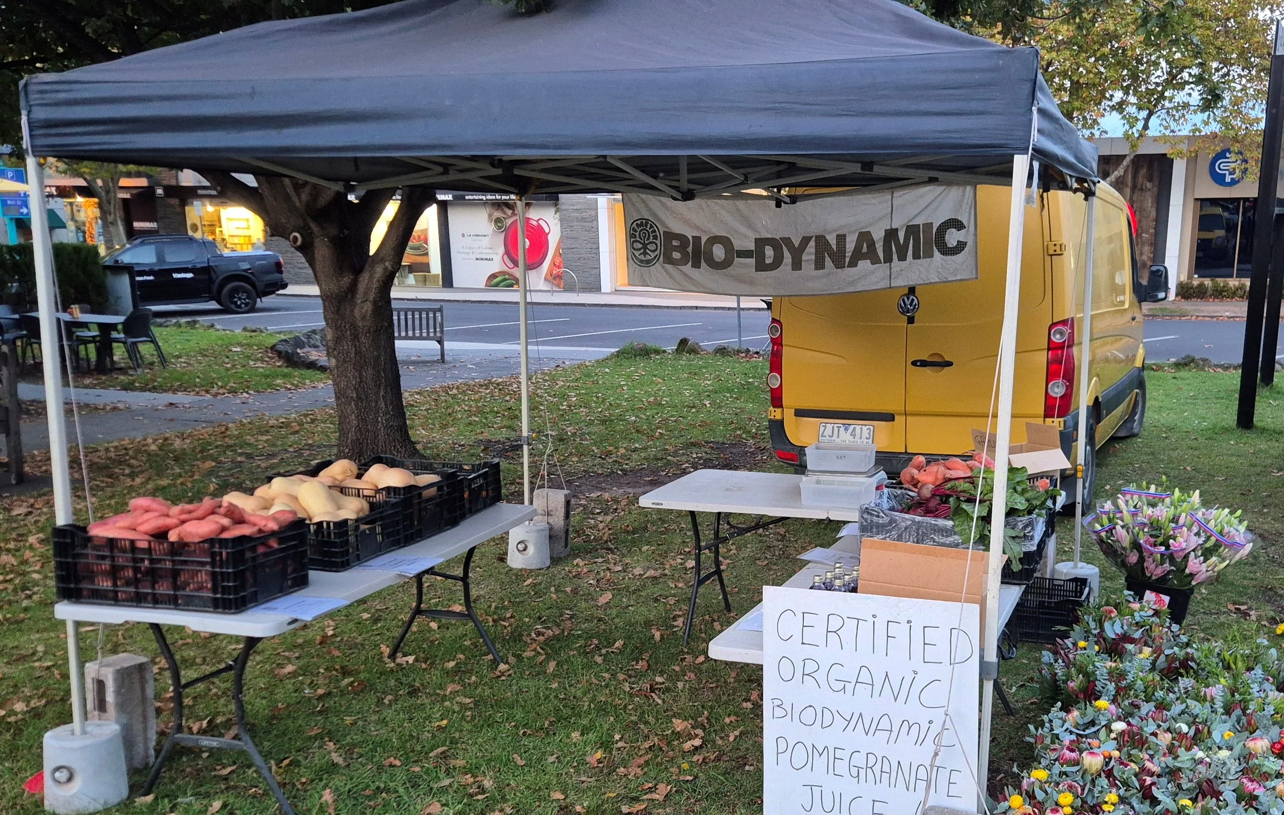 market stand ew.jpg
