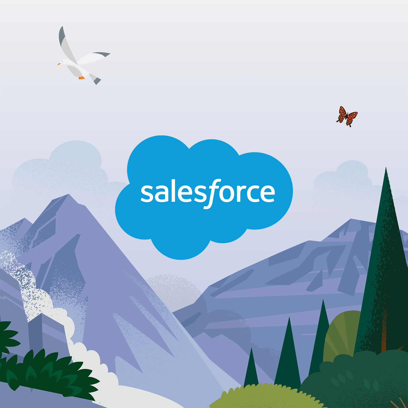 Salesforce feature.png