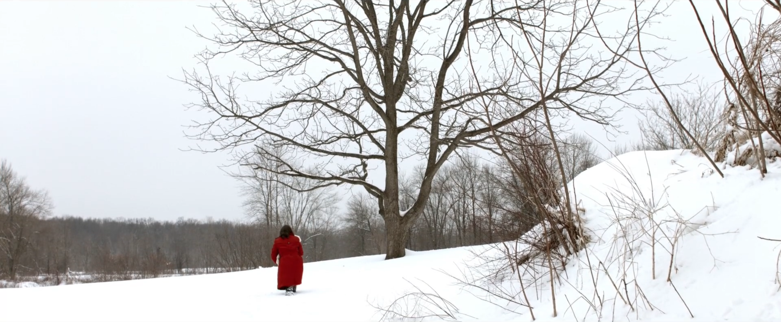 Screen Shot 2020-04-18 at 1.19.20 PM.png