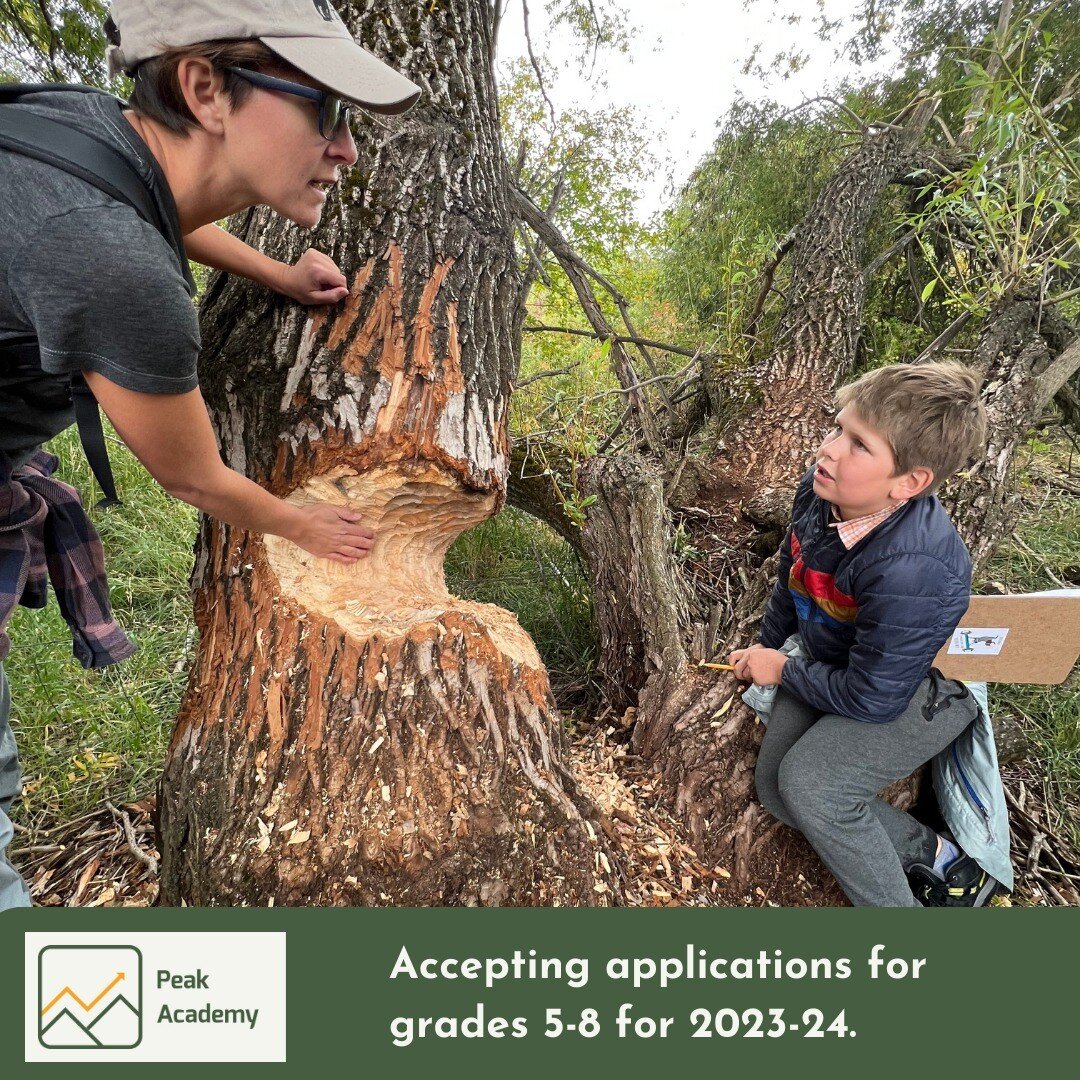 If you are looking for an interdisciplinary combination of challenging and progressive core academic classes, authentic in-depth projects, and insightful learning expeditions, Peak Academy is accepting student applications for the 2023-24 school year