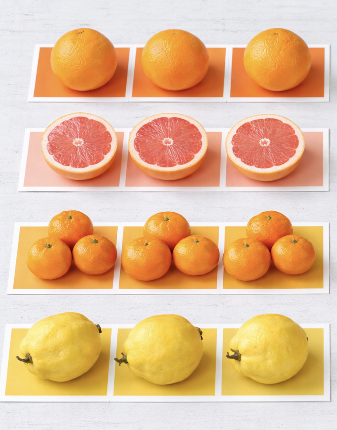 Screen Shot 2026-03-14 at 2.47.03 PM.png