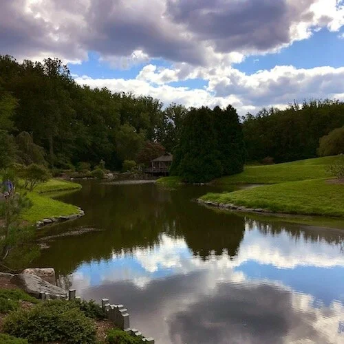 Image of the park showing lots of green grass and a small body of water that reflects the blue sky with clouds.
