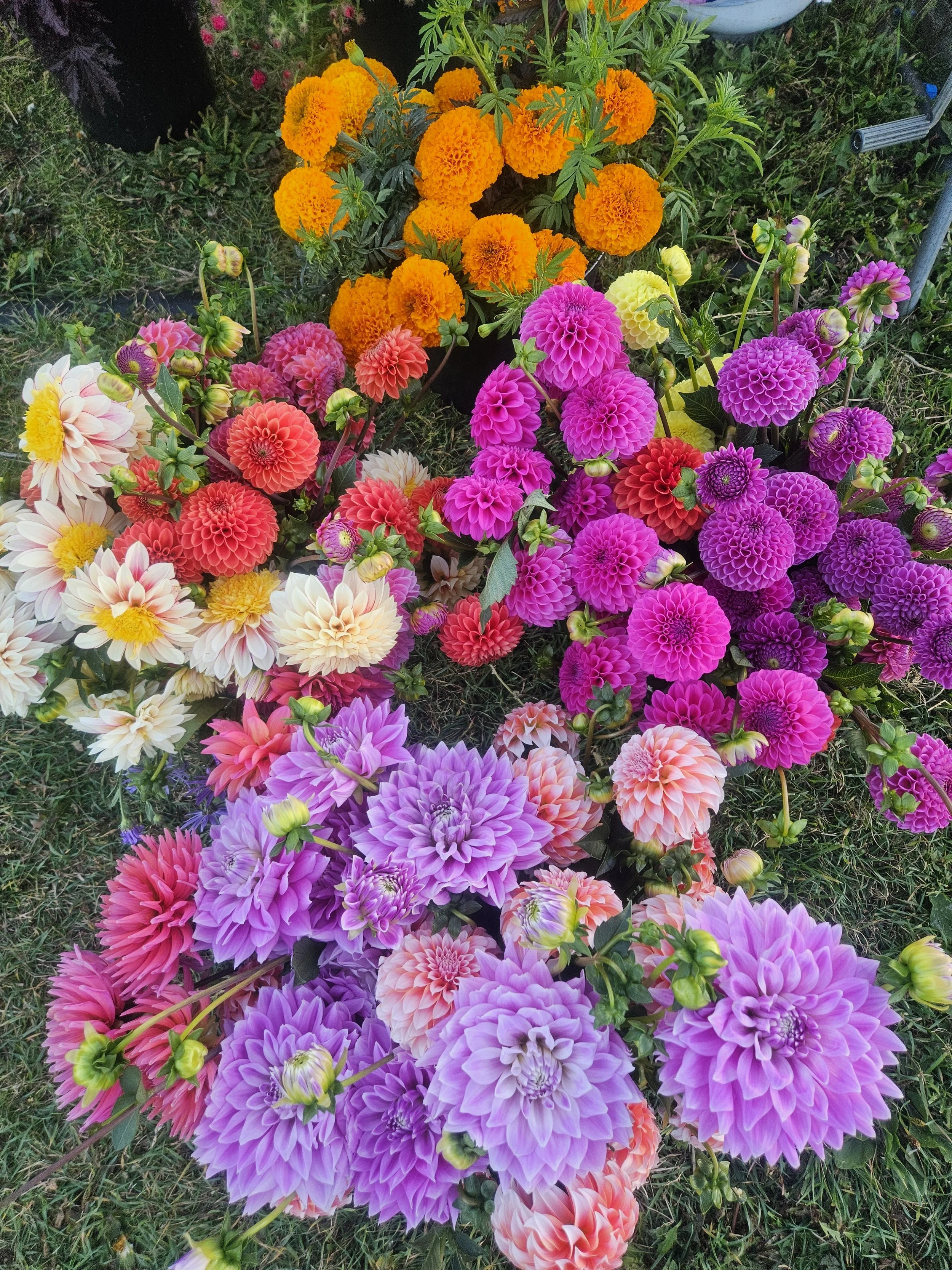 20250924_184513.jpg