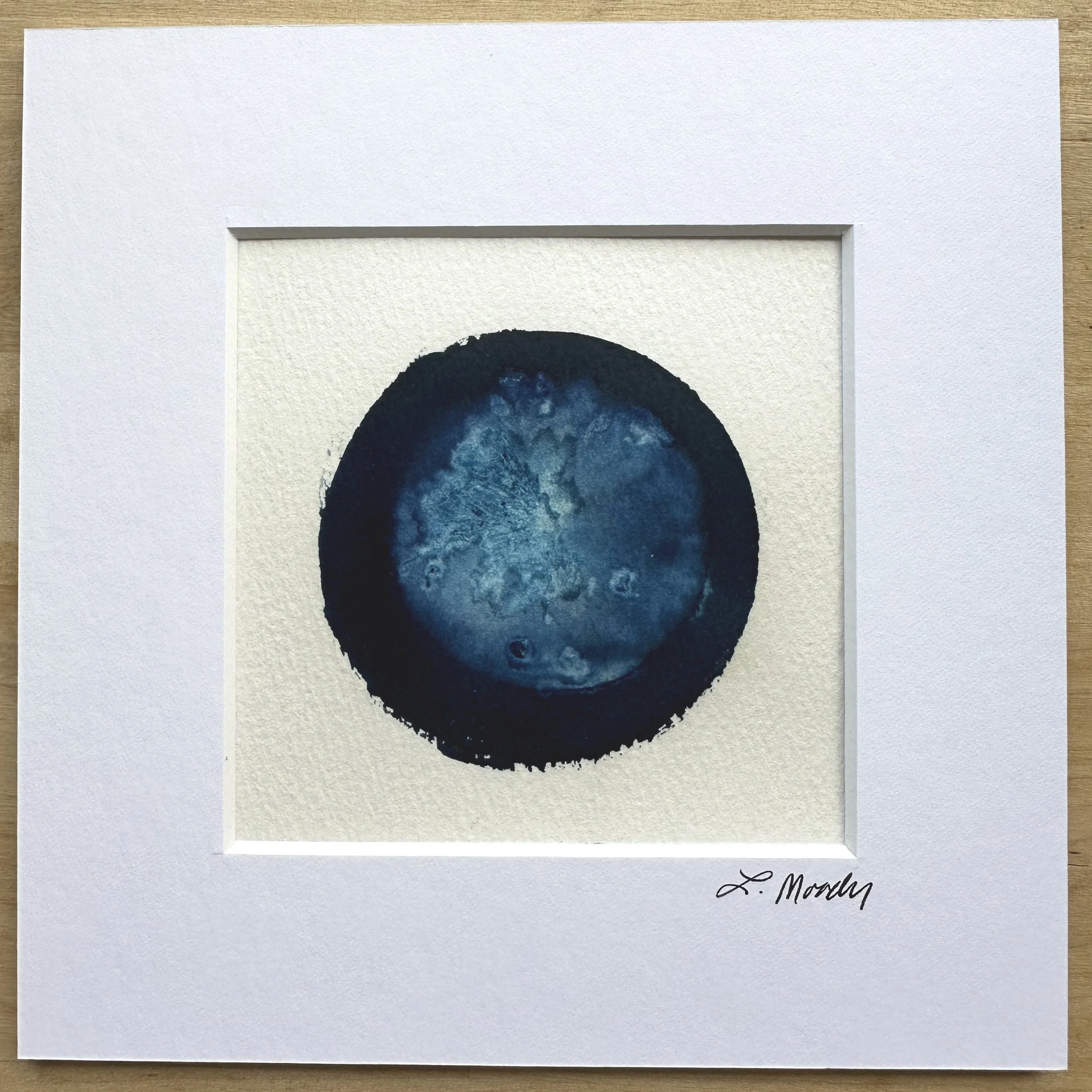 Cyanotype Fruit Print #3