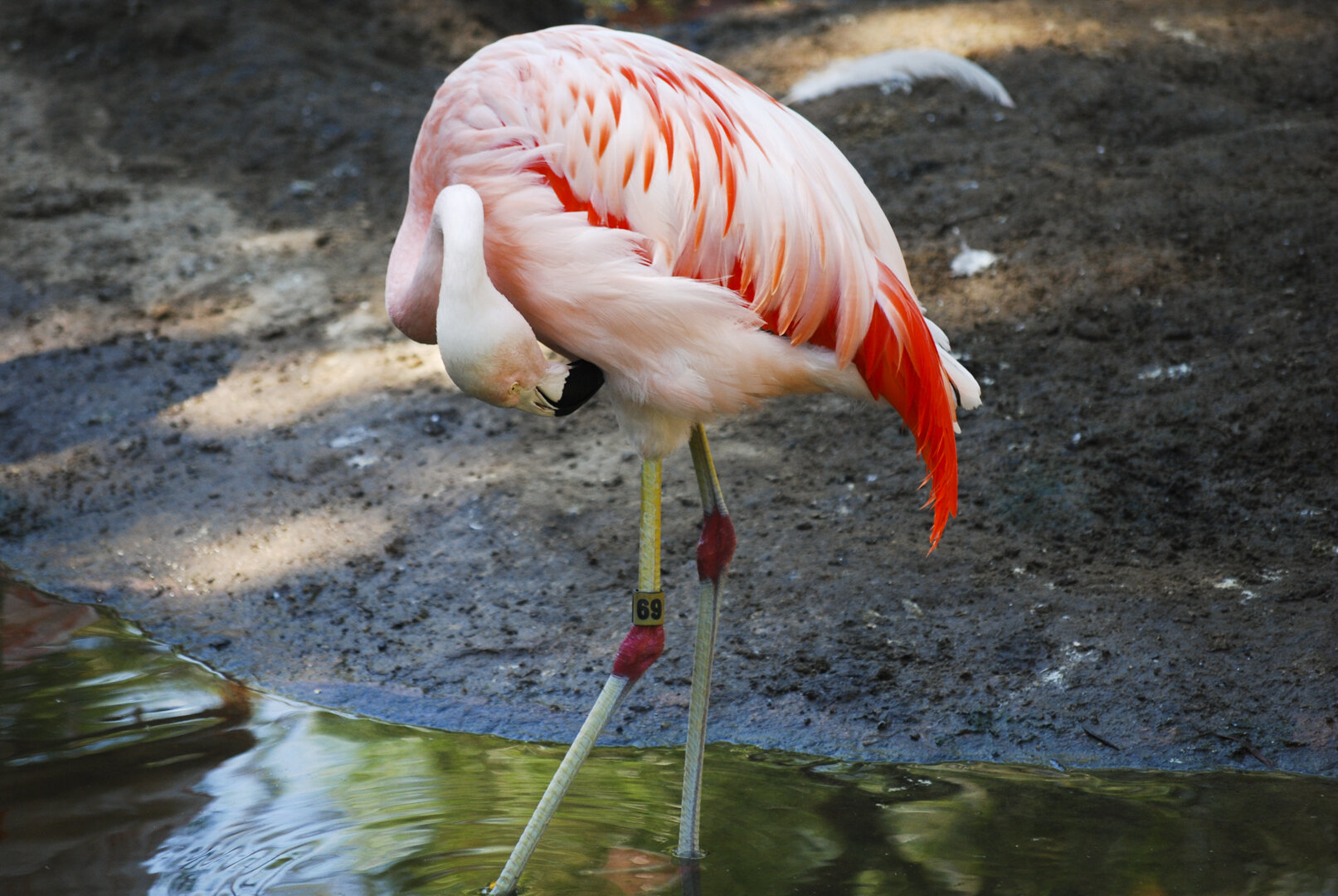 DSC_0073.JPG