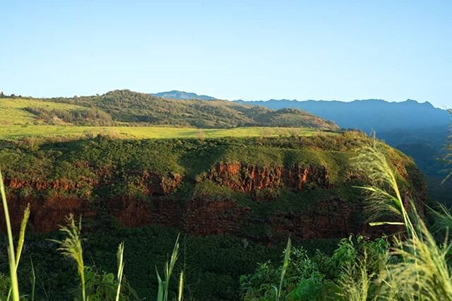 Can someone add dinosaurs to this photo? Enjoy. .
.
.
.
#kauaihawaii #kauai #hawaii #paradise  #moodygrams #landscapelover #photooftheday #keepnaturewild  #thevisualcollective #createexplore #naturelover💚 #create  #fromwhereistand #earthpix #createy