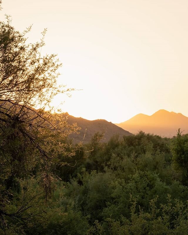 I was looking for horses and found this. Enjoy. .
.
.
.
.
.
 #arizona #arizonalandscape  #ig_color #moodygrams  #arizonahighways  #wanderlust #wondermore  #desertlandscape  #naturephotography #photooftheday  #hikingphotography #landscapephotography  