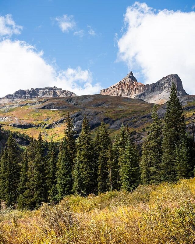 Just some trees, up at about 13,000 ft elevation. Enjoy. .
.
.
.
.
.
.
#coloradorockies #rockymountains #rockymountainhigh #cloud #weather #coloradoinstagram #explorecolorado #moodygrams #sonyphoto #travel2020  #create #createexplore #createyourownad