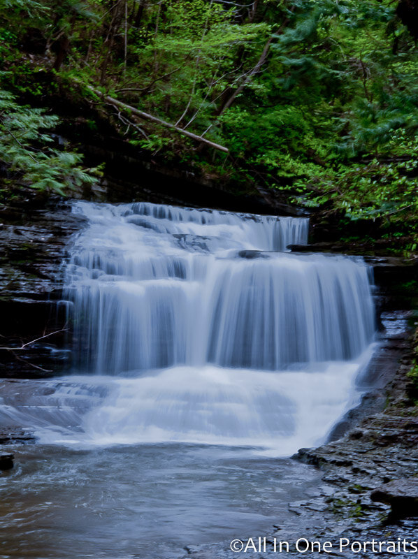 DSC_2452.jpg