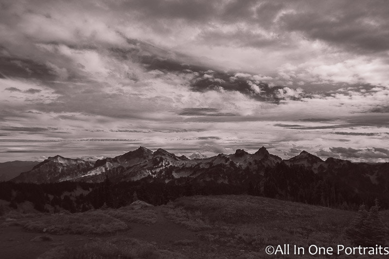 DSC_3192-Edit.jpg