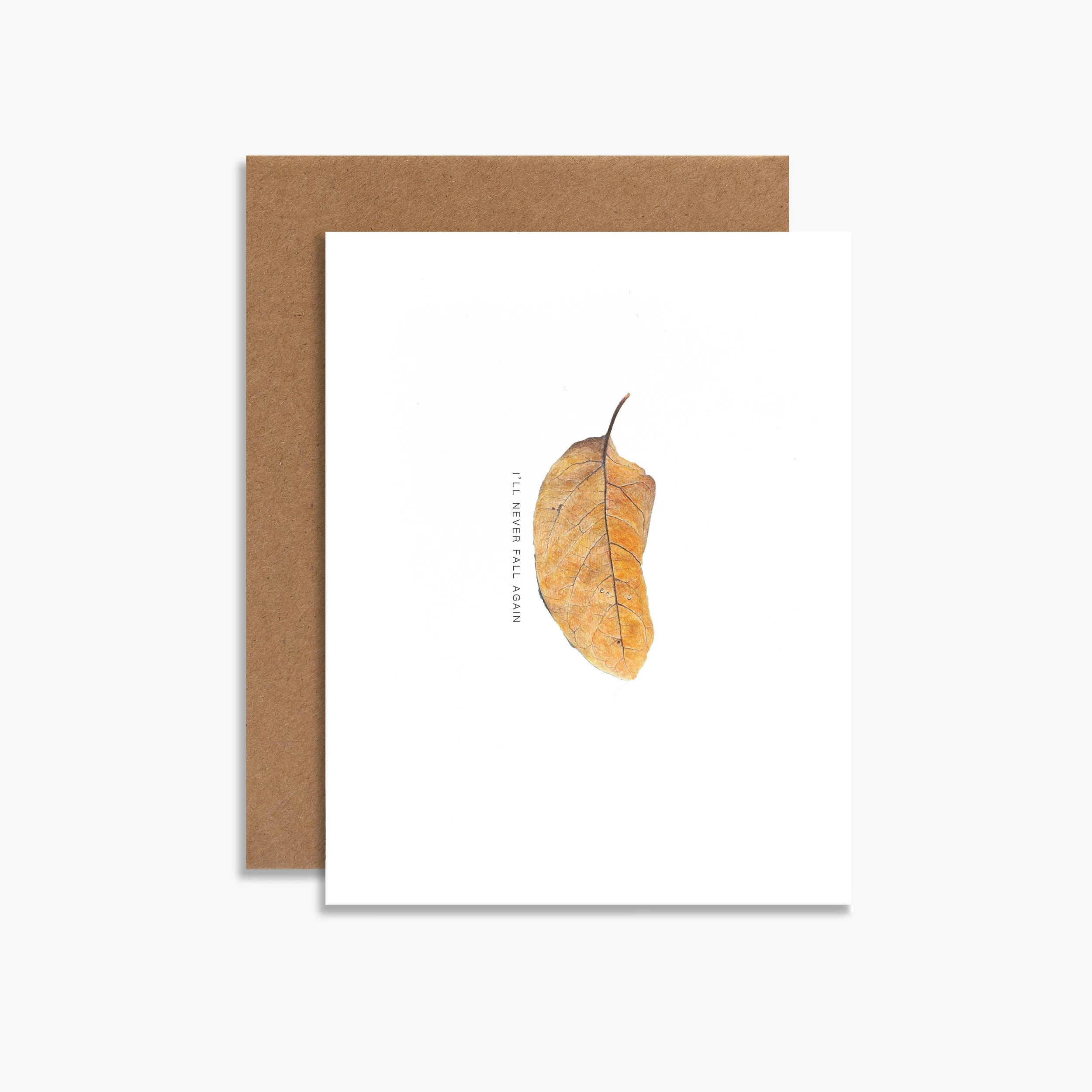 i'll never fall again