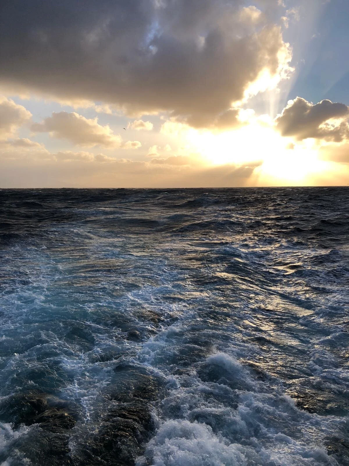 The 5 songs I'm listening to this week and why. 10/4/20 - 10/10/20