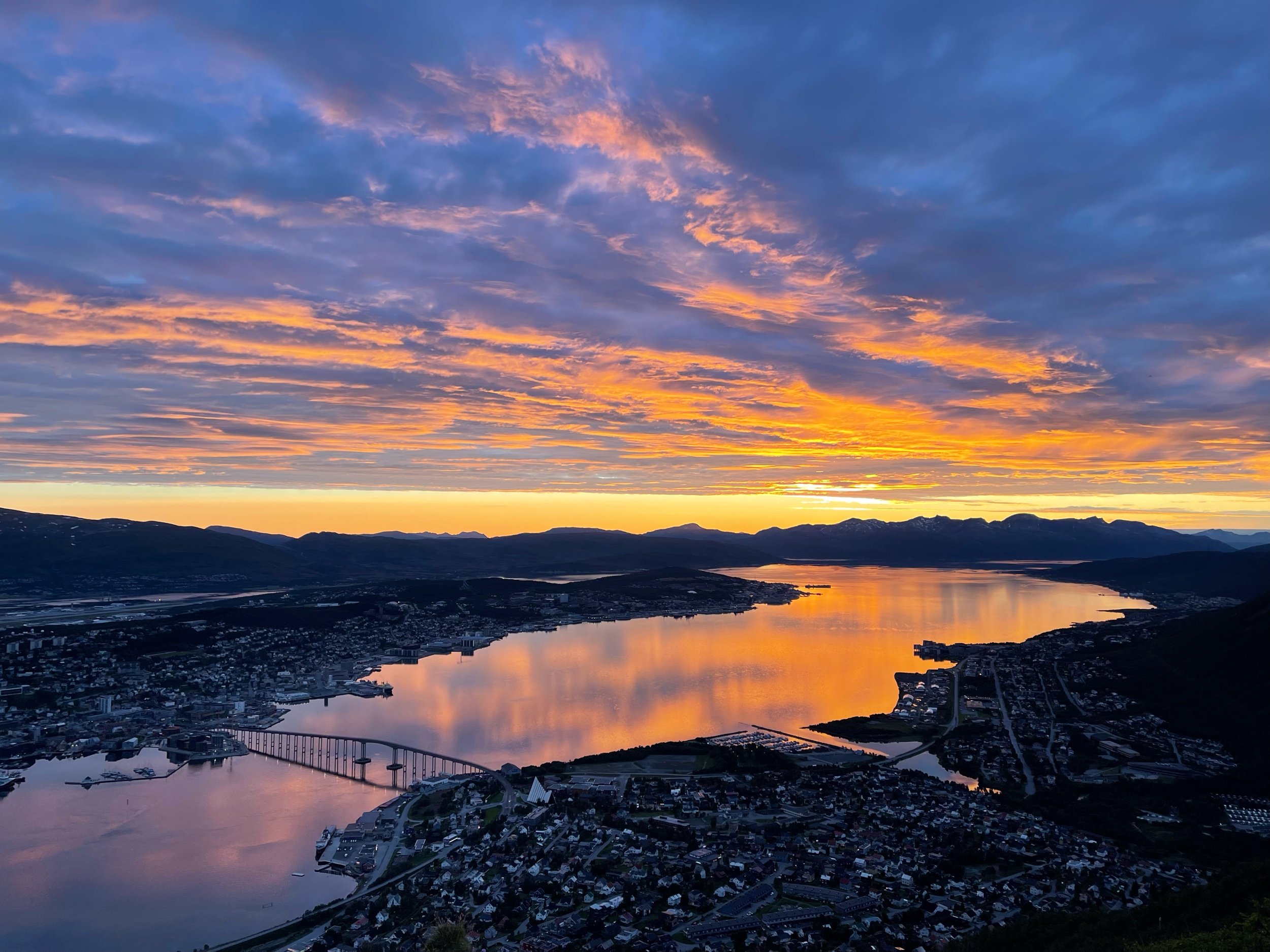 Why I Left Svalbard?!