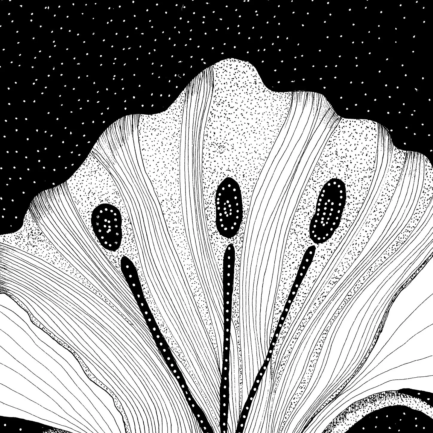 STRANGE FLOWER DETAIL 1.jpg