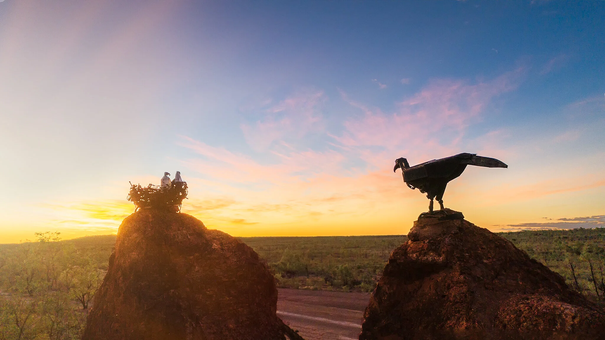 What goes into photo - A walkthrough of the Lake Dunn Eagle Image