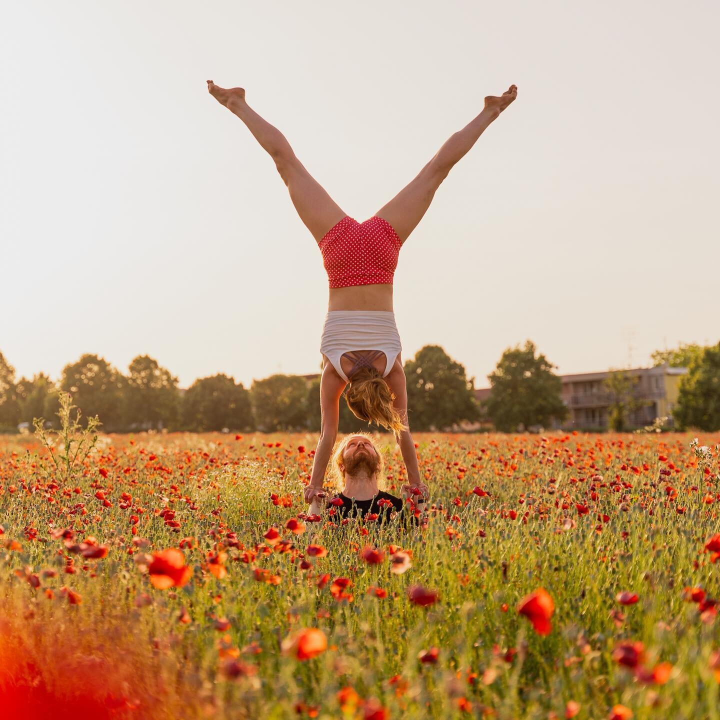 Handstanding in the middle of a poppy field 🥰 One regular handstand and also one arm 💪

This semester we are having two courses that focus on h2h, one intermediate and one advanced. We feel really grateful that there are so many people eager to lea