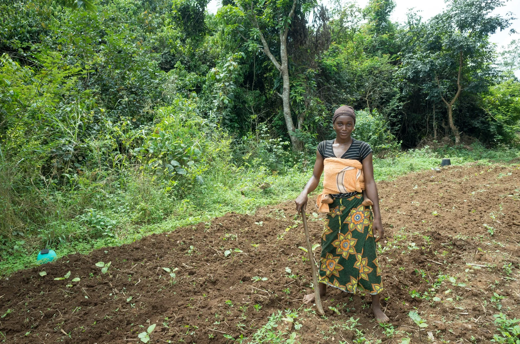  Guinea 