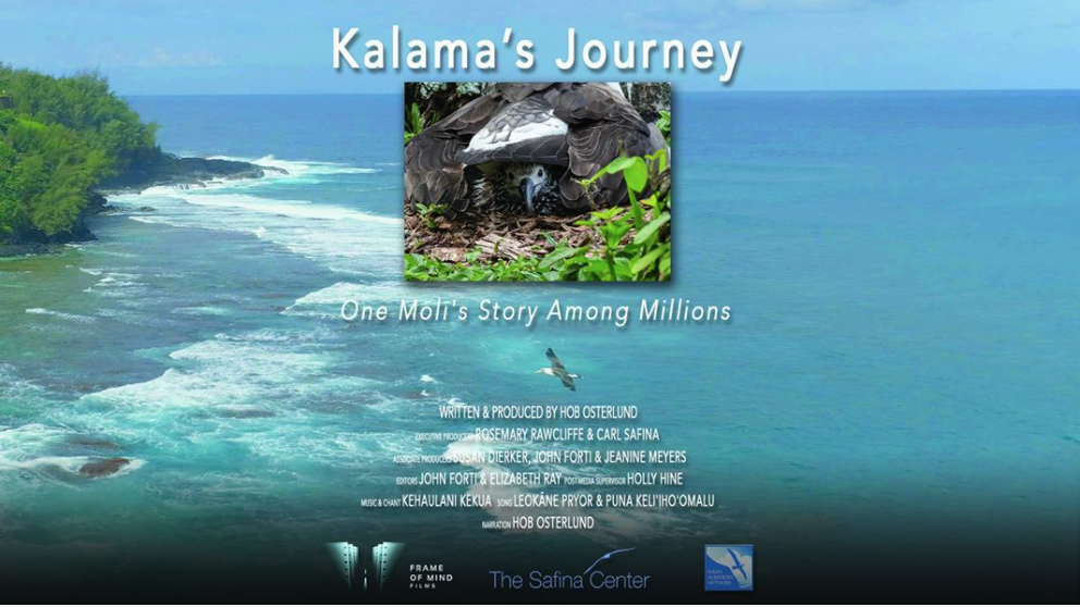 Kalama’s Journey Soars to the Shores of Lake Erie