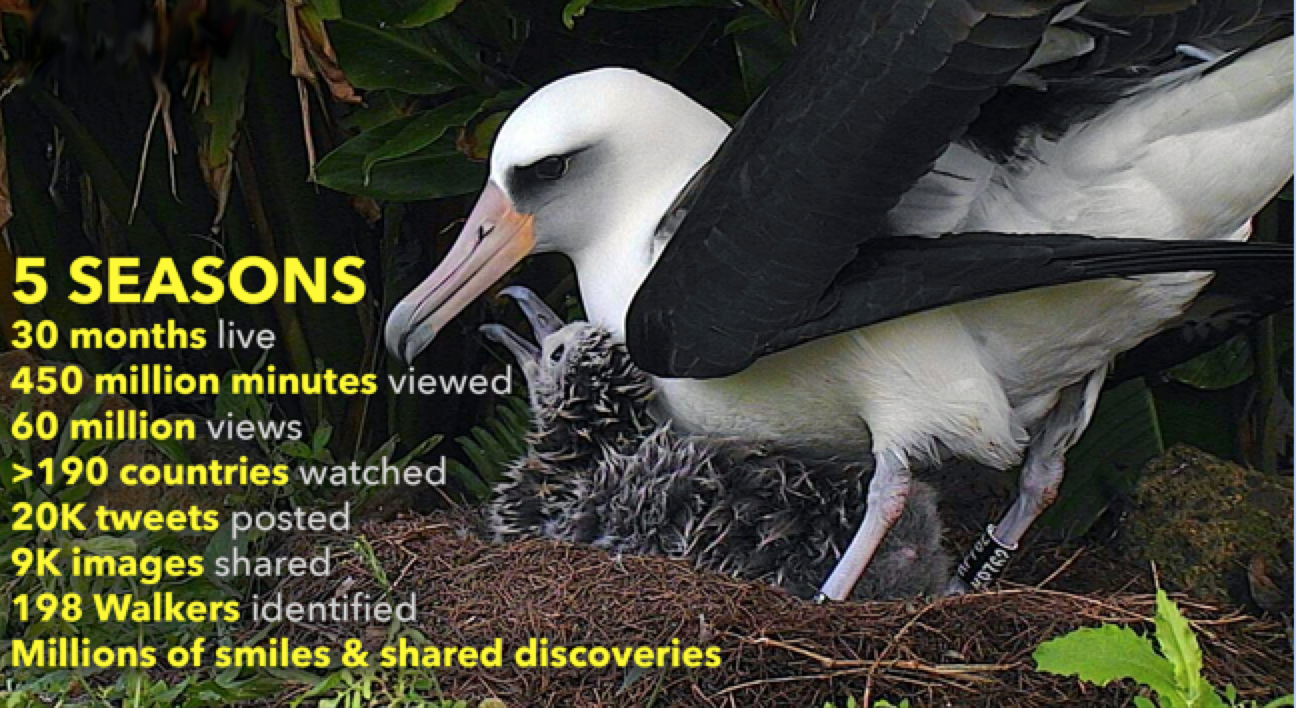 Of Aloha and albatross