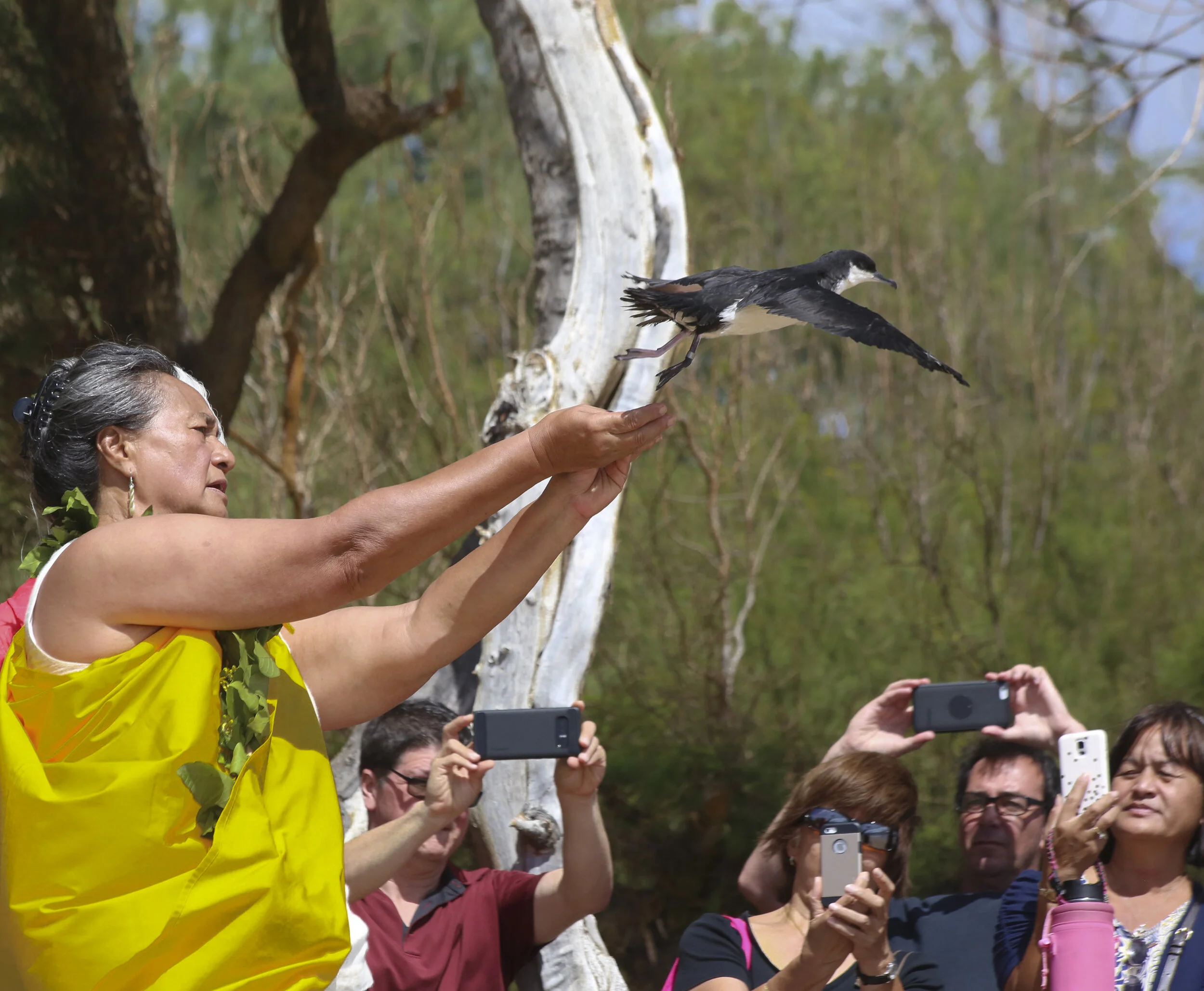 Changing of Guardians