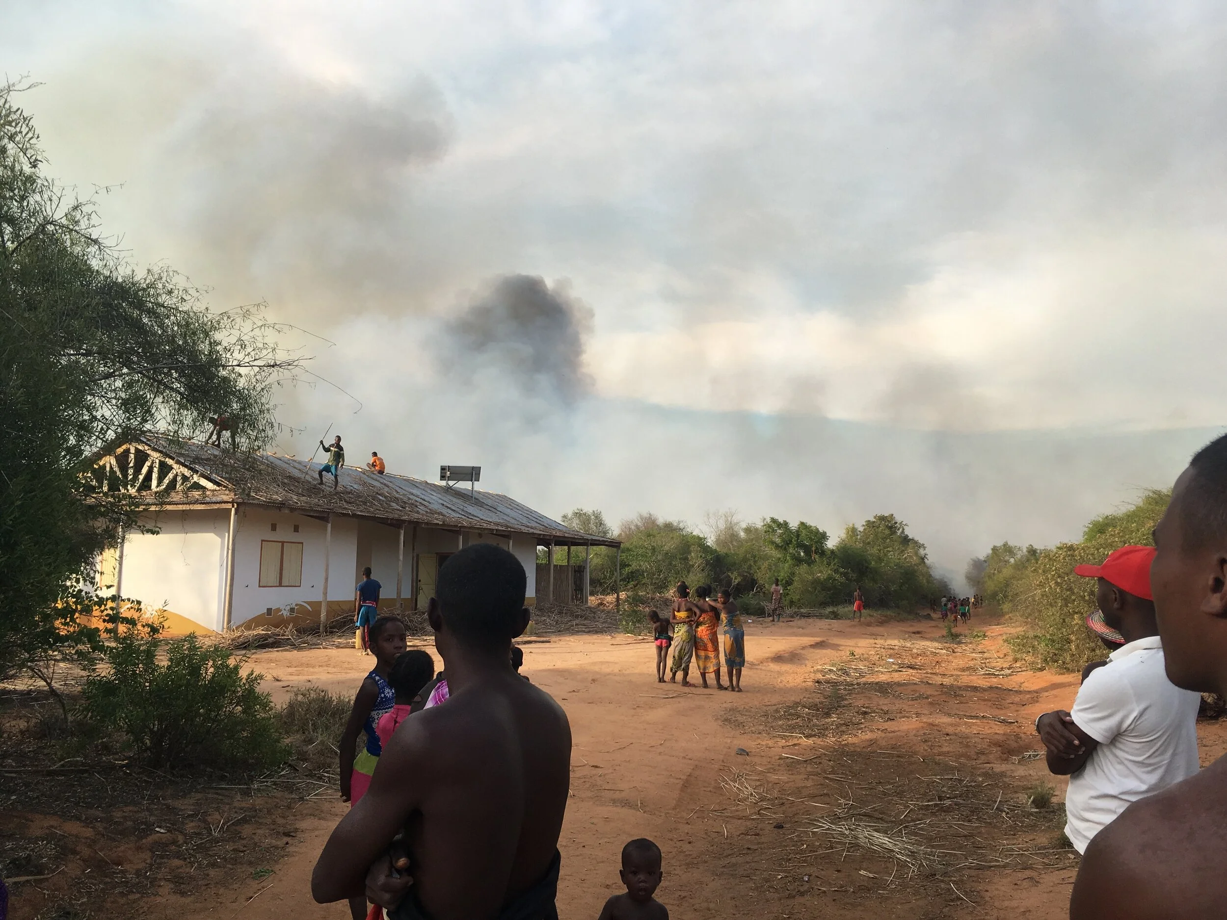 Tavy: Slash and burn