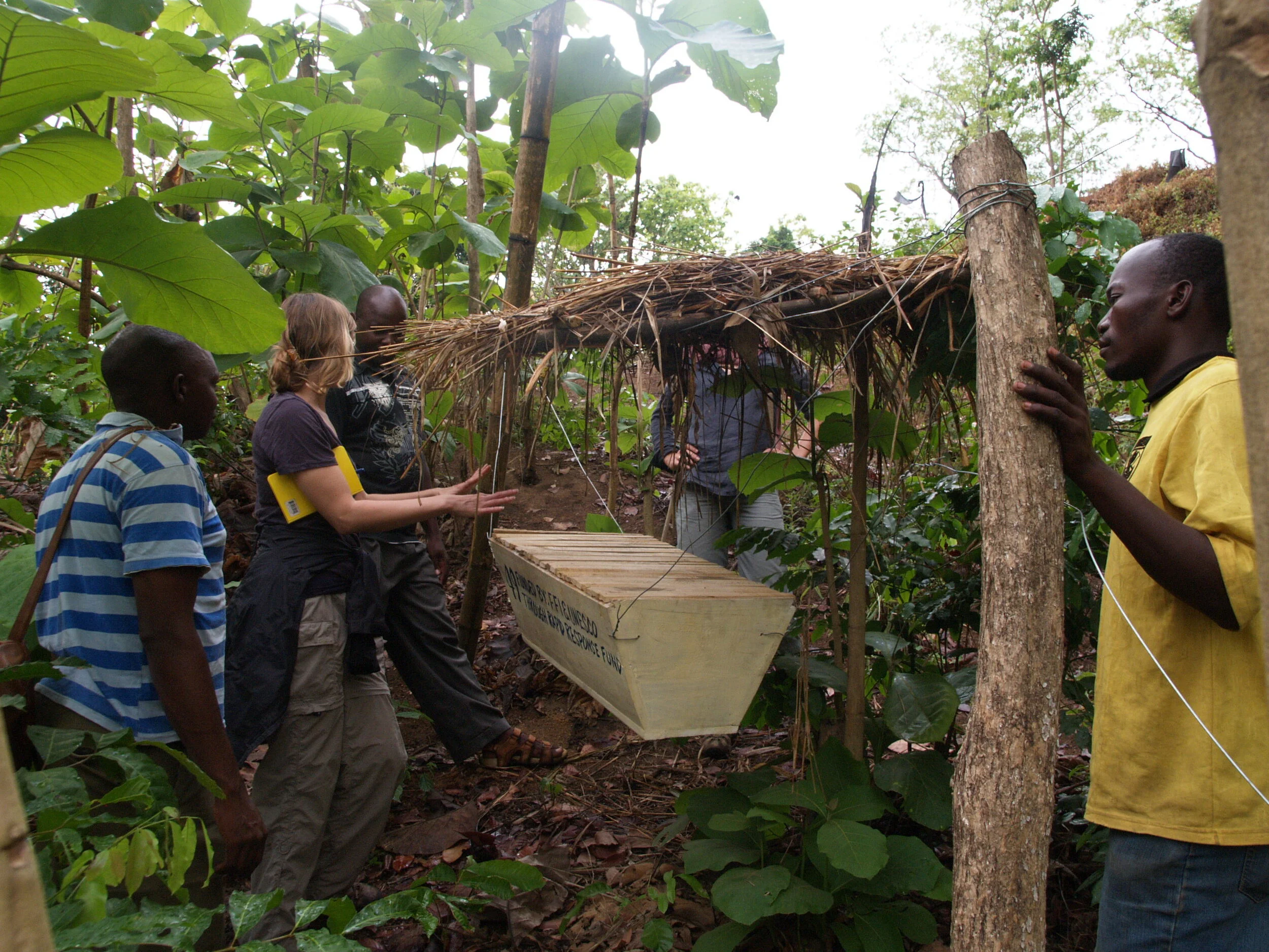 Co-existence with Giants