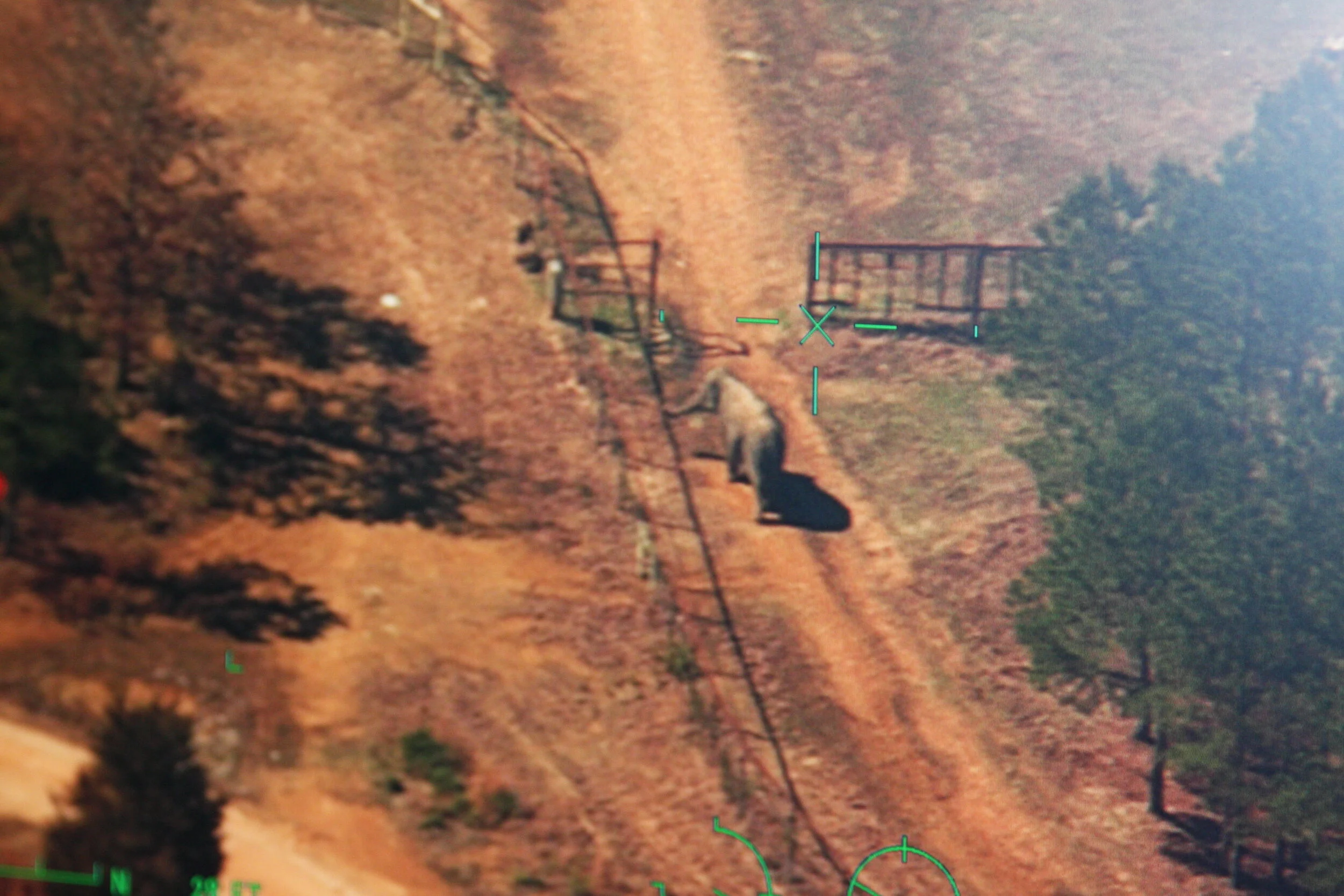 A new idea for curbing poaching in African elephant range is taking flight