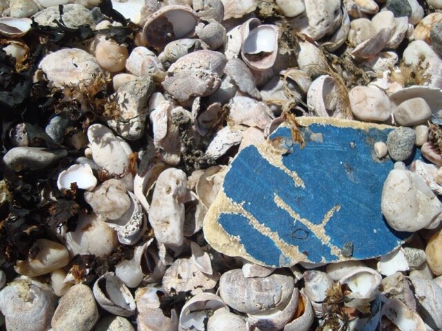 Plastic pollution plagues NY-NJ waterways—and it’s all our fault