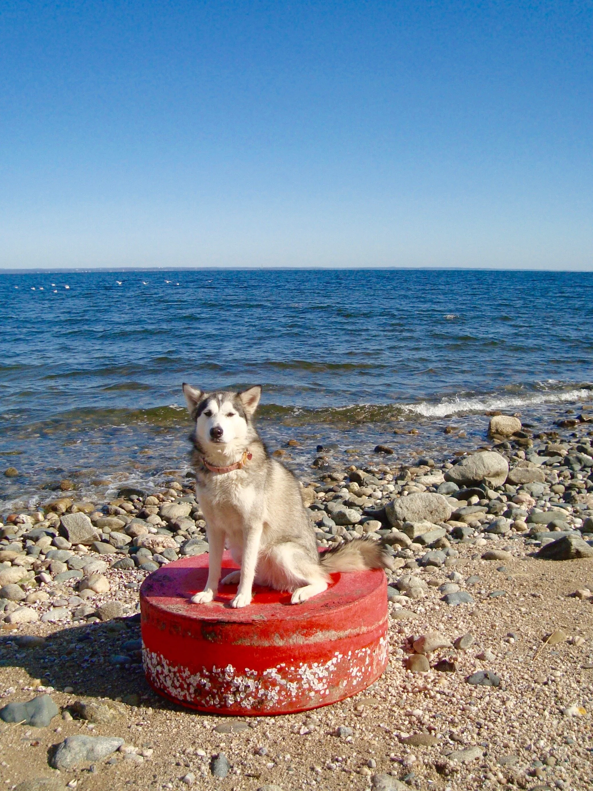 Plastic: The big breakup