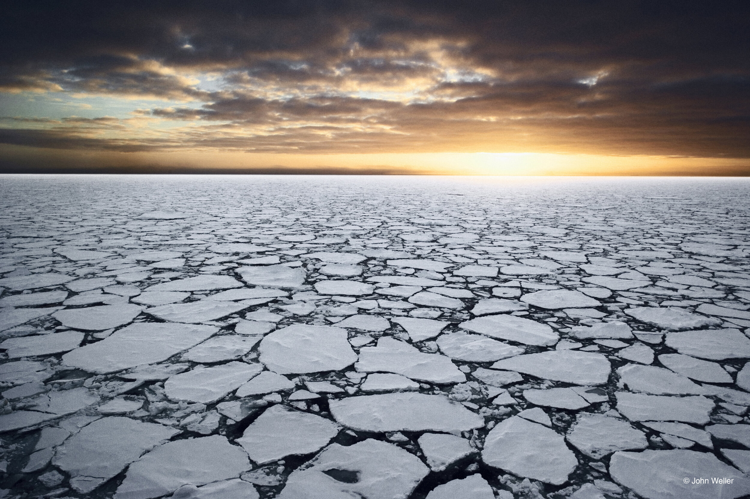 Ross Sea MPA creation means the last pristine place in the ocean is finally protected