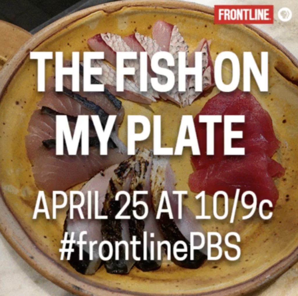 “The Fish on My Plate” review – Author and fisherman Paul Greenberg tells us which fish to eat, which to avoid and which we’re running out of