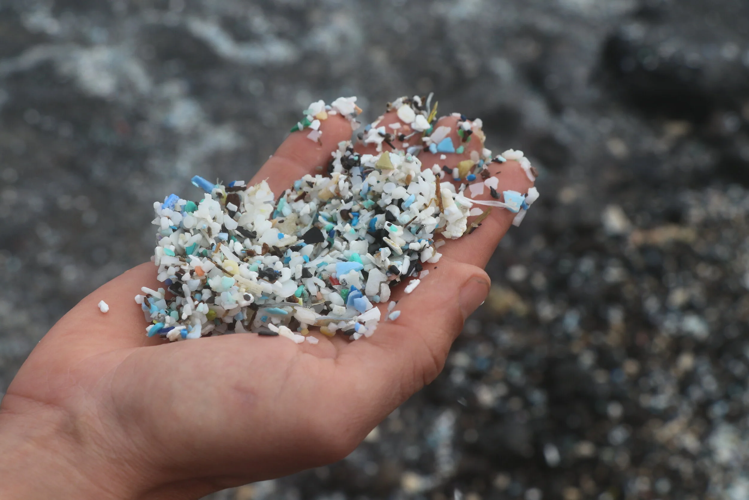 Charles Moore is now a two-time Garbage Patch discoverer (and I can tell you what a Garbage Patch looks like)