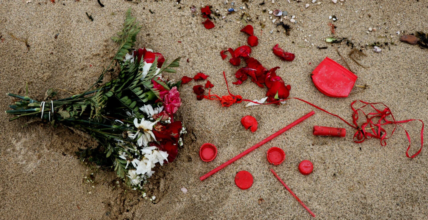 Plastic pollution: A message from nature, an opportunity for art