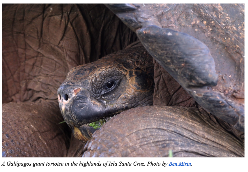 Lost in Time in the Galapagos Islands