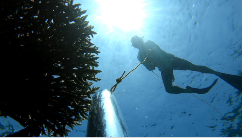 VR Film Release: Grandpa’s Reef (Bahura Ni Lolo)