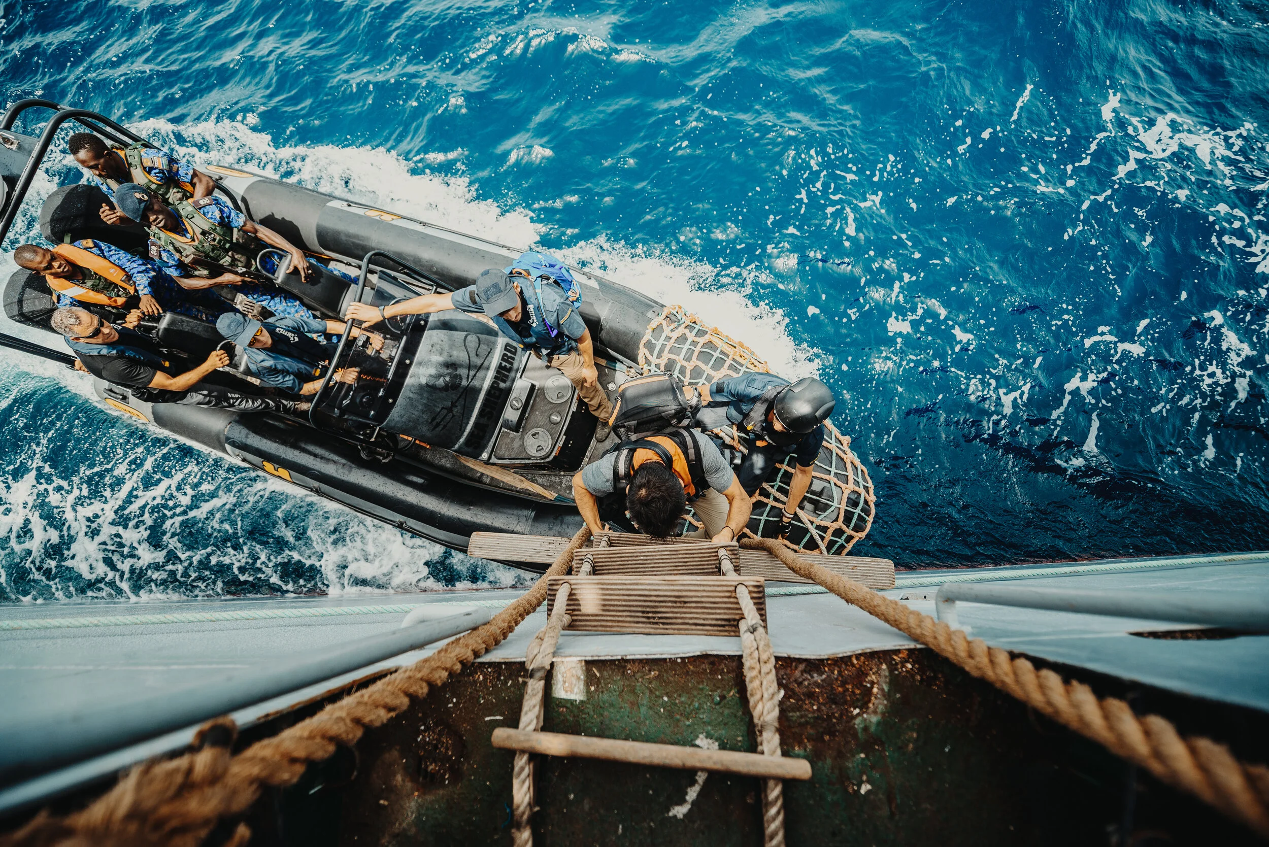 The bane of unsustainable fishing